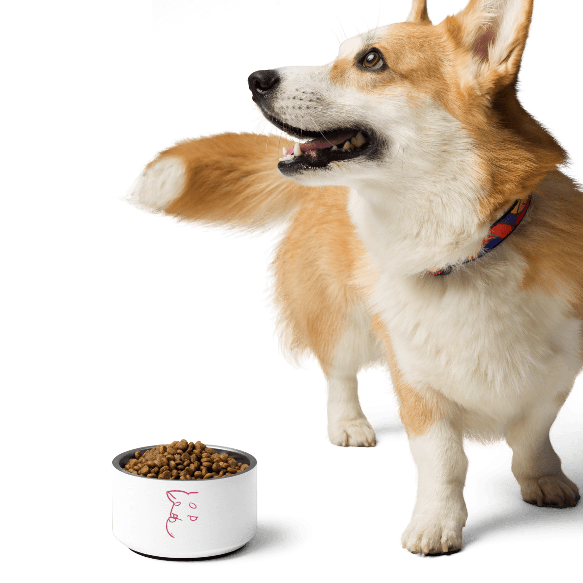 Simply Barker Dog Bowl - barkerclothing