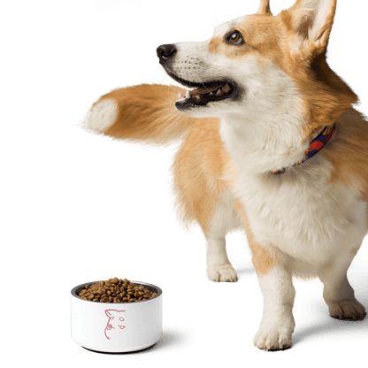 Simply Barker Dog Bowl - barkerclothing