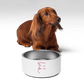 Simply Barker Dog Bowl - barkerclothing
