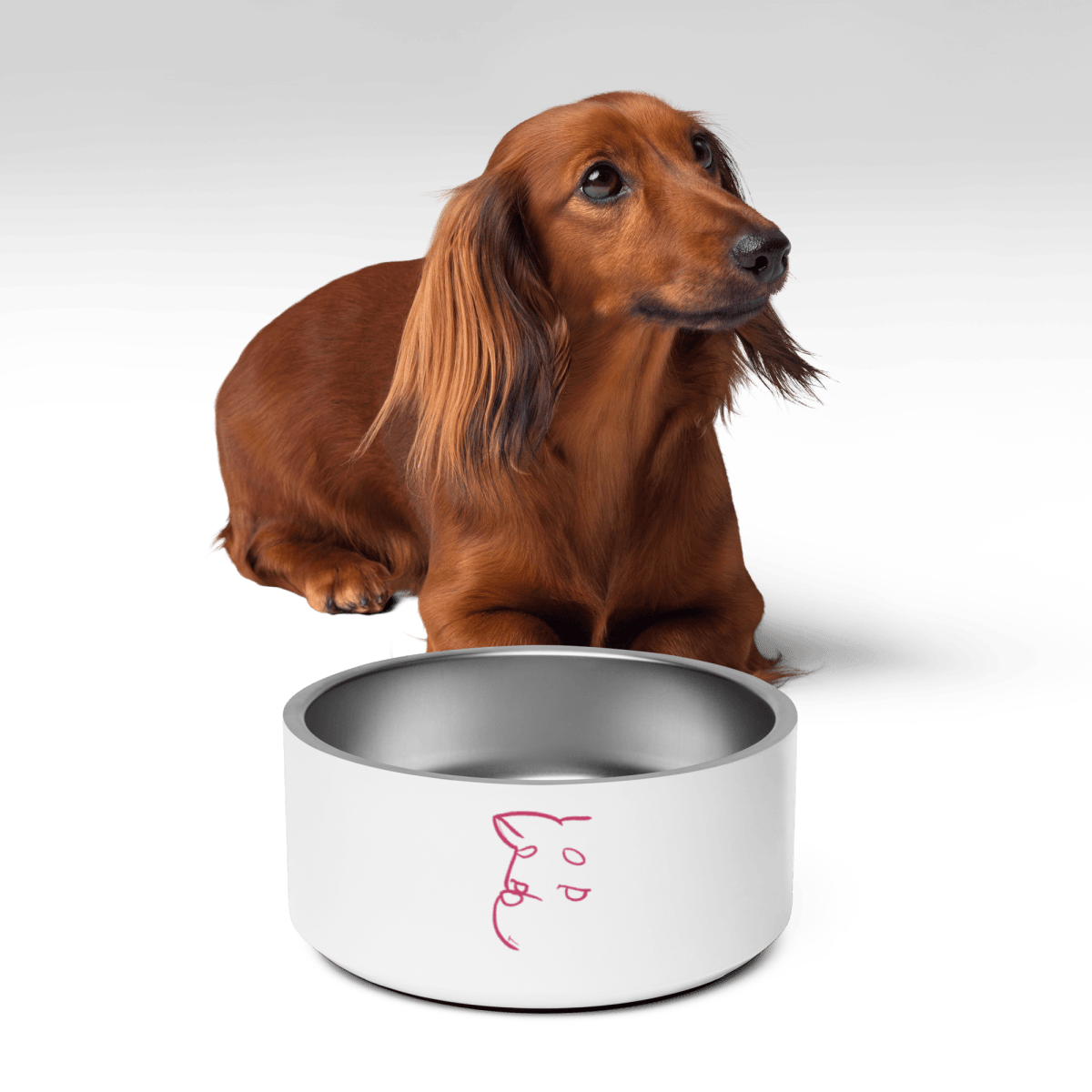 Simply Barker Dog Bowl - barkerclothing