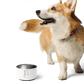 Simply Barker Dog Bowl - barkerclothing