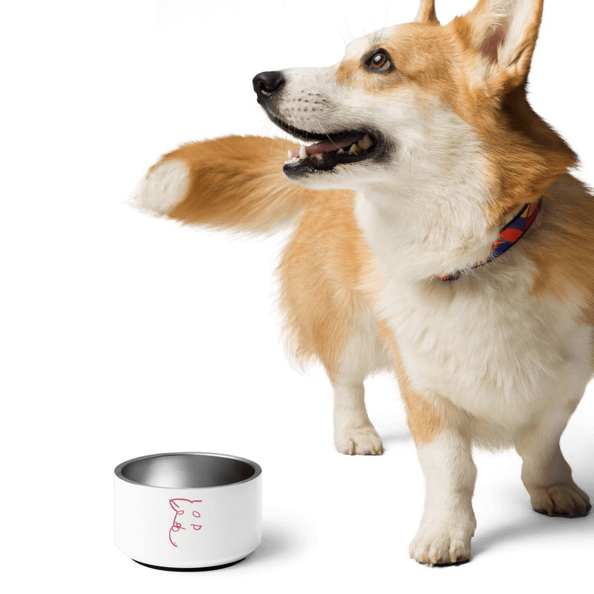 Simply Barker Dog Bowl - barkerclothing