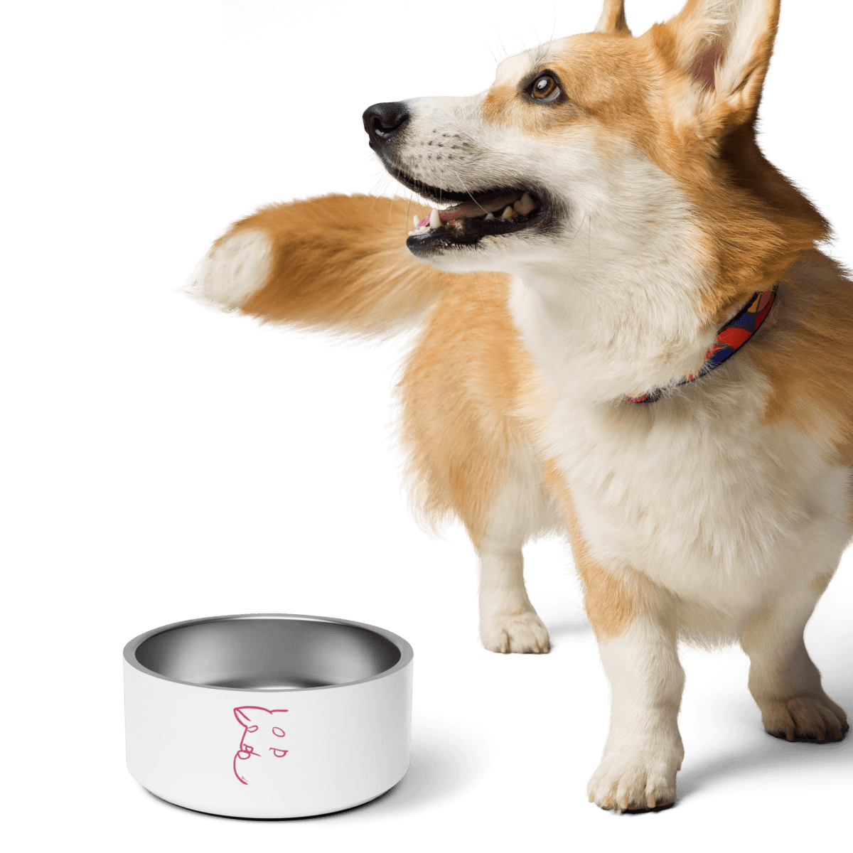 Simply Barker Dog Bowl - barkerclothing