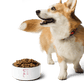 Simply Barker Dog Bowl - barkerclothing
