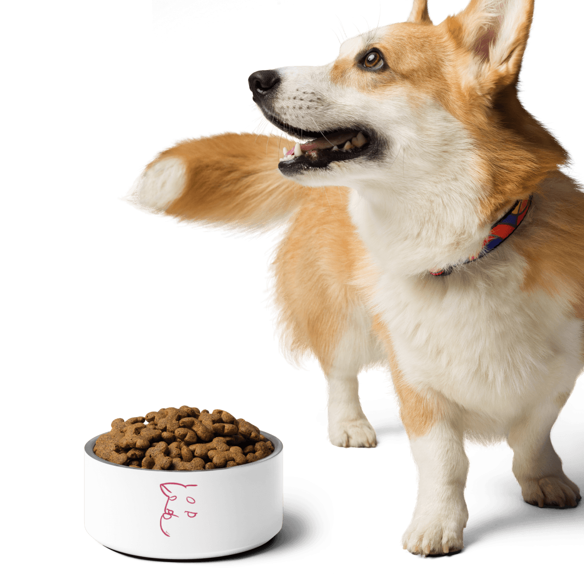 Simply Barker Dog Bowl - barkerclothing