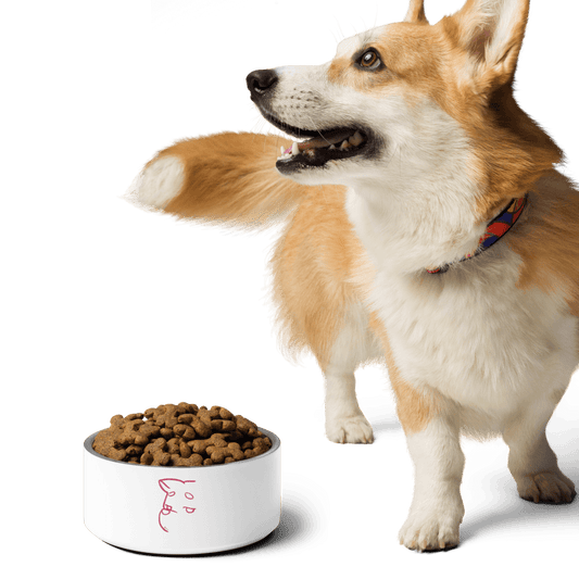 Simply Barker Dog Bowl - barkerclothing